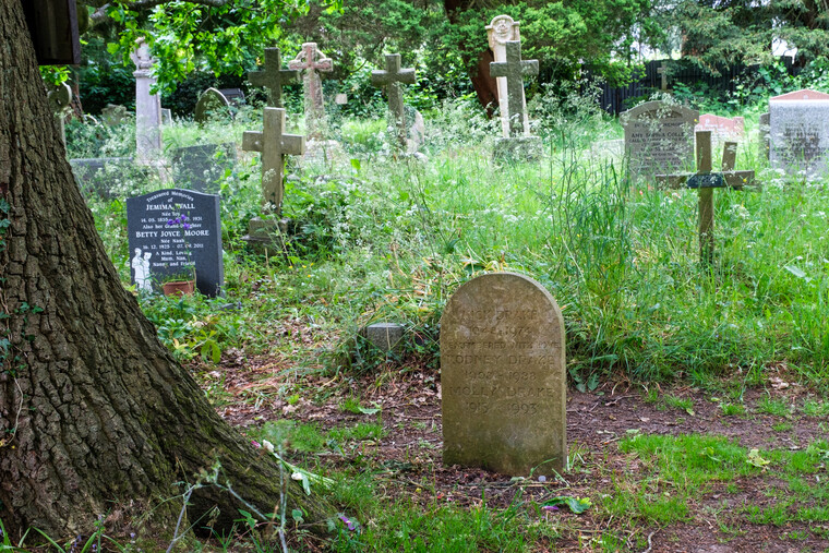 UK May '22 - Deference (Nick Drake) 005.jpg